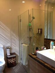 Four Seasons Park (D10), Condominium #565061671